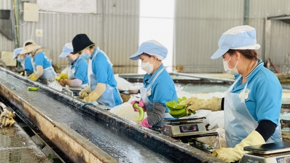 Gia Lai: Đảng ủy Khối các Cơ quan và Doanh nghiệp tỉnh: Đồng hành cùng doanh nghiệp