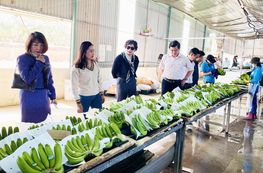 Gia Lai: Đảng ủy Khối các Cơ quan và Doanh nghiệp tỉnh: Đồng hành cùng doanh nghiệp Khởi động chương trình “Đồng hành cùng doanh nghiệp” ảnh 1