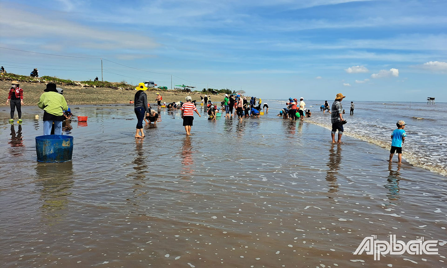 Huyện Gò Công Đông: Đánh thức tiềm năng du lịch Huyện Gò Công Đông: Đánh thức tiềm năng du lịch