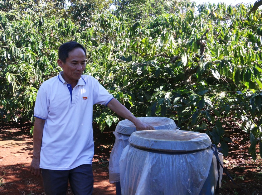 Gia Lai sản xuất cà phê thích ứng với biến đổi khí hậu Gia Lai sản xuất cà phê thích ứng với biến đổi khí hậu ảnh 2