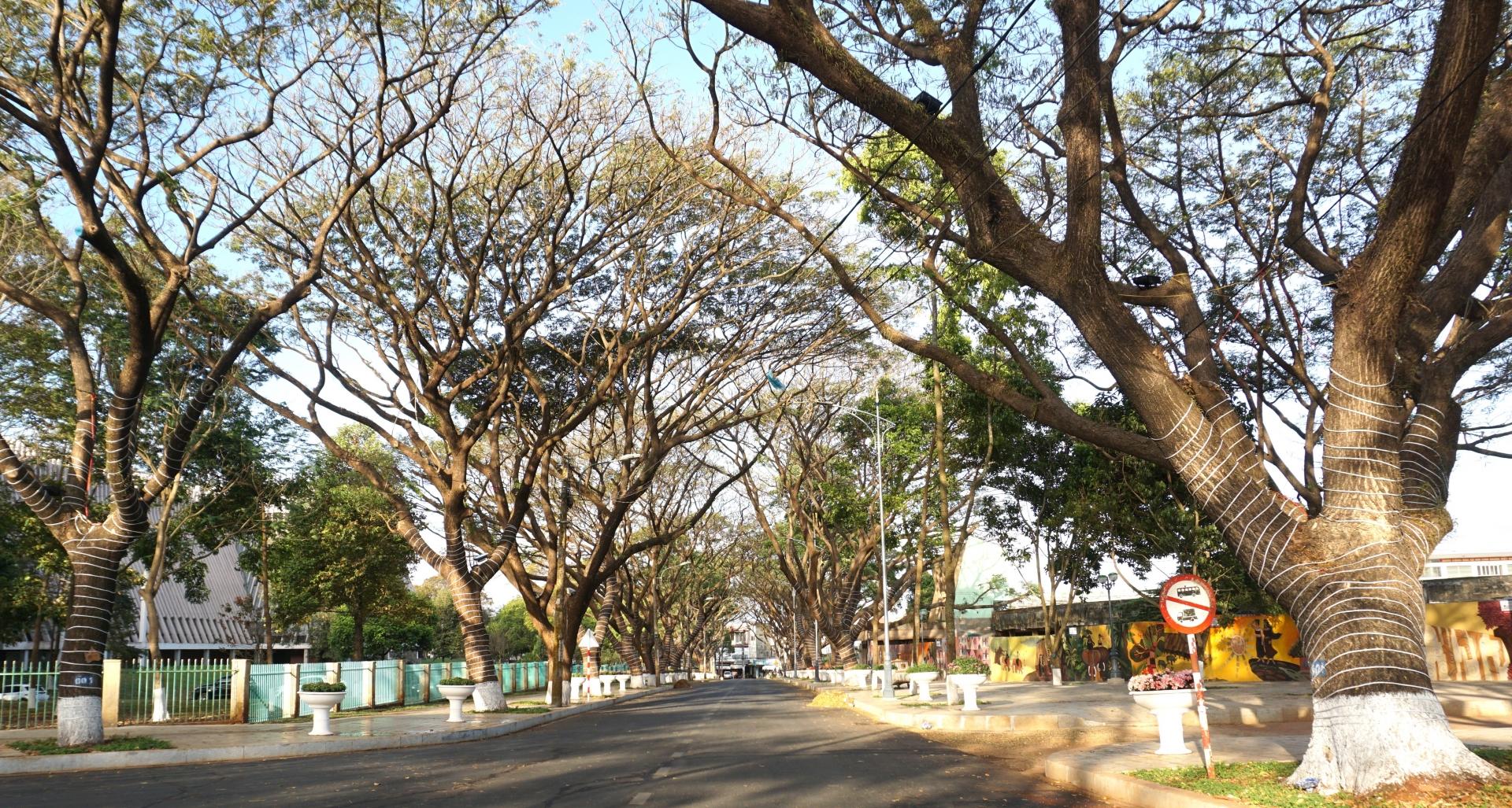 Đắk Lắk: Sôi nổi các hoạt động hưởng ứng Lễ hội Cà phê Buôn Ma Thuột lần thứ 8