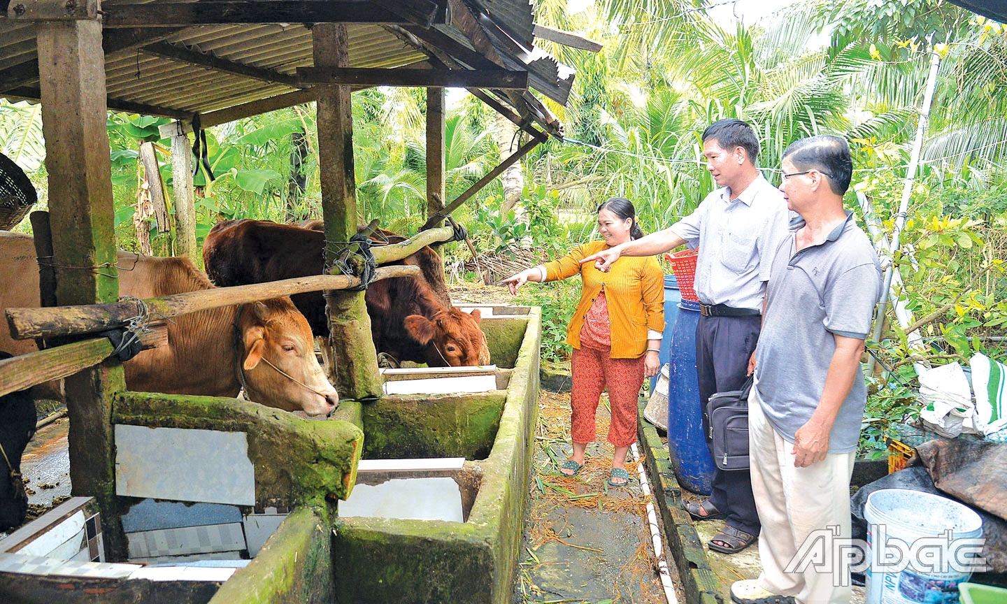 Tiền Giang: Quỹ Hỗ trợ nông dân - điểm tựa thoát nghèo Các cấp Hội Nông dân tỉnh thường xuyên quan tâm hỗ trợ kỹ thuật sản xuất cho nông dân yên tâm phát triển mô hình từ Quỹ Hỗ trợ nông dân.