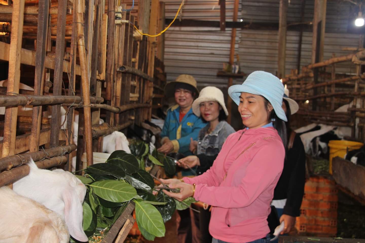 Đắk Lắk: Vững tâm thế và khát vọng phát triển