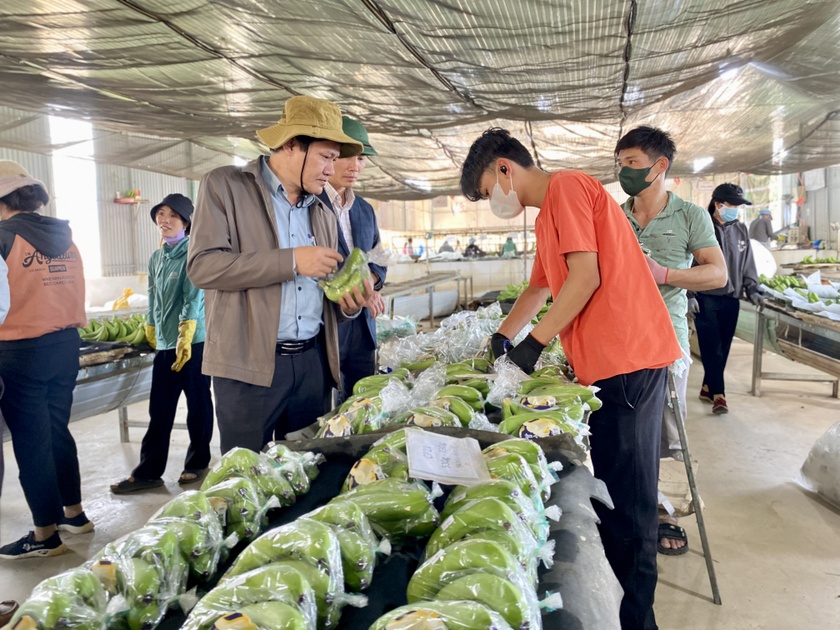 Tạo điều kiện thuận lợi cho nhà đầu tư  ảnh 3