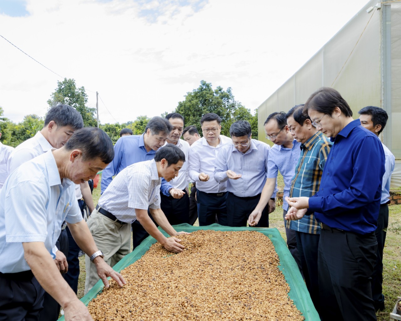 Đắk Lắk: Xây dựng ngành hàng cà phê theo hướng đa giá trị