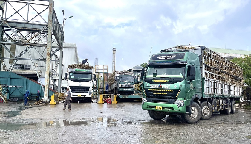 Gia Lai: Nhà máy Đường An Khê thu mua trên 75% diện tích mía nguyên liệu Nhà máy Đường An Khê thu mua trên 75% diện tích mía nguyên liệu ảnh 1
