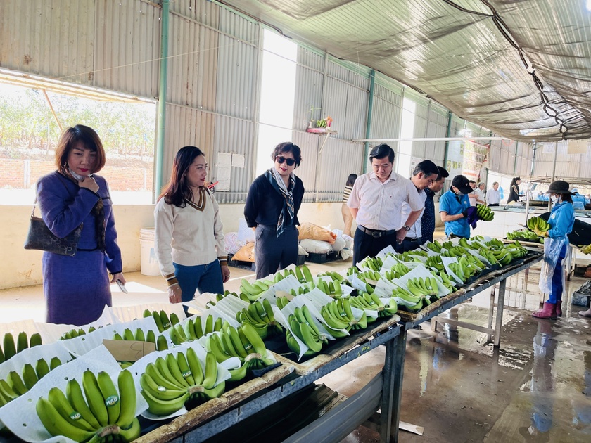 Gia Lai: 48 năm những thành tựu đáng tự hào 48 năm những thành tựu đáng tự hào ảnh 4