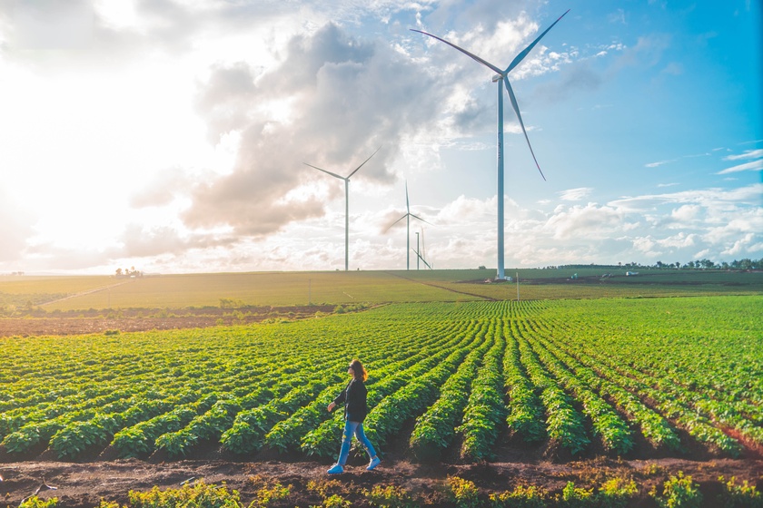 Gia Lai: 48 năm những thành tựu đáng tự hào 48 năm những thành tựu đáng tự hào ảnh 5