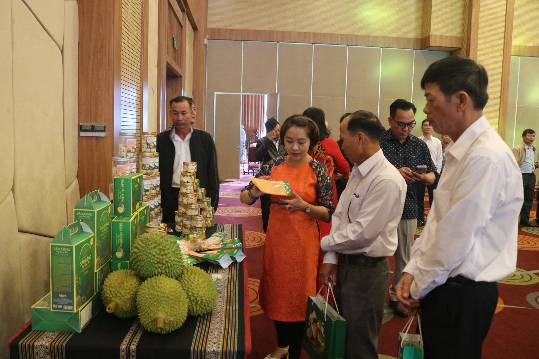 Đắk Lắk: Gia tăng sức cạnh tranh cho sầu riêng xuất khẩu Đắk Lắk: Gia tăng sức cạnh tranh cho sầu riêng xuất khẩu