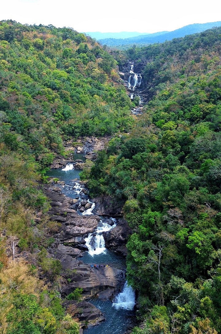 Gia Lai: Ia Tul trái tim rừng già Ia Tul: Trái tim rừng già ảnh 3