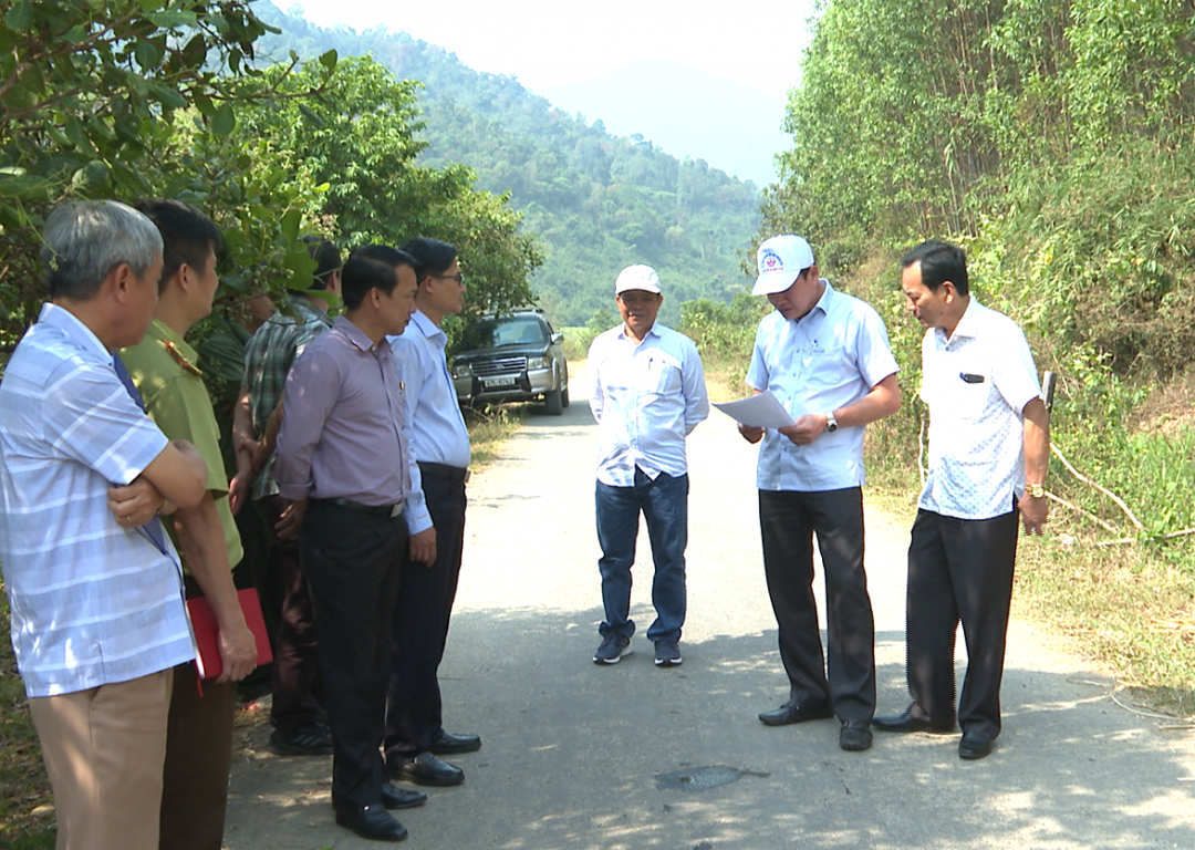 Đoàn giám sát của HĐND tỉnh khảo sát việc triển khai công tác quản lý, bảo vệ, phát triển rừng của Công ty TNHH MTV Lâm nghiệp Krông Bông.