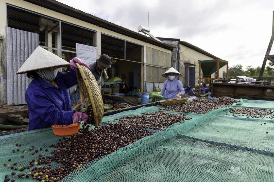 Đắk Lắk: Những thách thức với đô thị cà phê