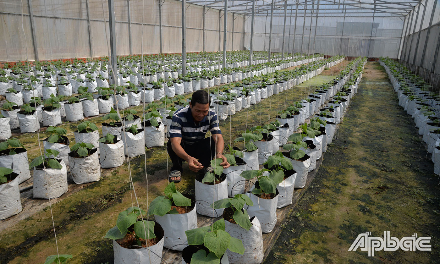 Tiền Giang: Hiệu quả cho vay ủy thác thông qua các tổ chức chính trị - xã hội