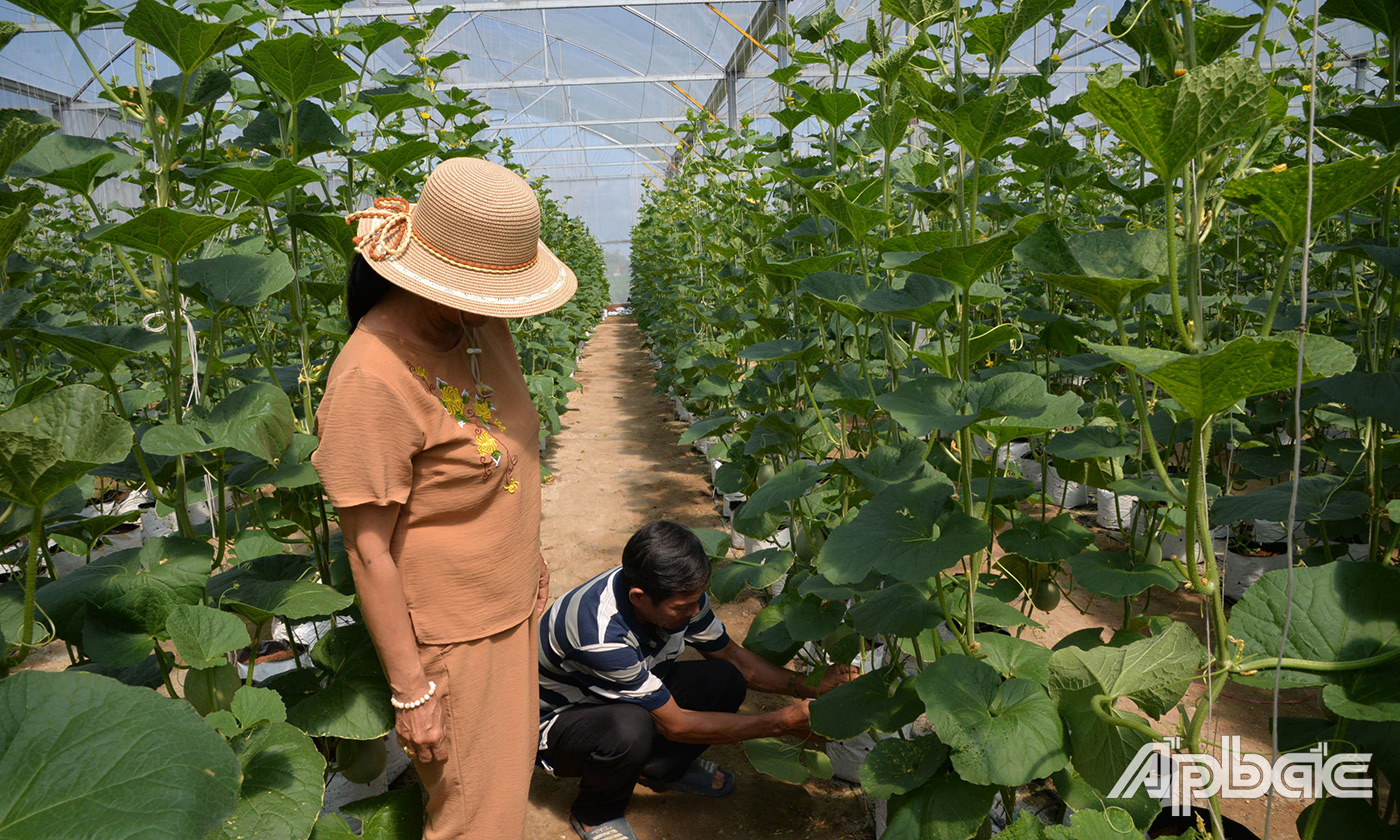 Tiền Giang: Hiệu quả cho vay ủy thác thông qua các tổ chức chính trị - xã hội