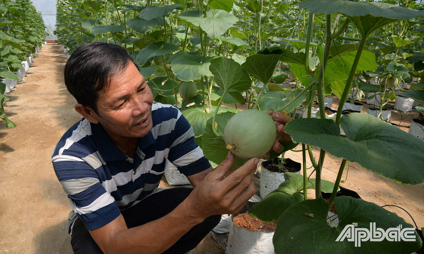 Tiền Giang: Hiệu quả cho vay ủy thác thông qua các tổ chức chính trị - xã hội