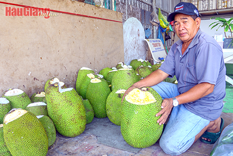 Hậu Giang: Nông sản được giá, nhưng… !
