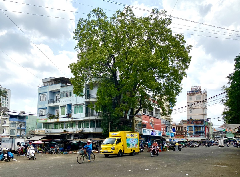 Gia Lai: Pleiku lập quy hoạch phân khu để triển khai đầu tư 17 dự án Pleiku lập quy hoạch phân khu để triển khai đầu tư 17 dự án ảnh 1
