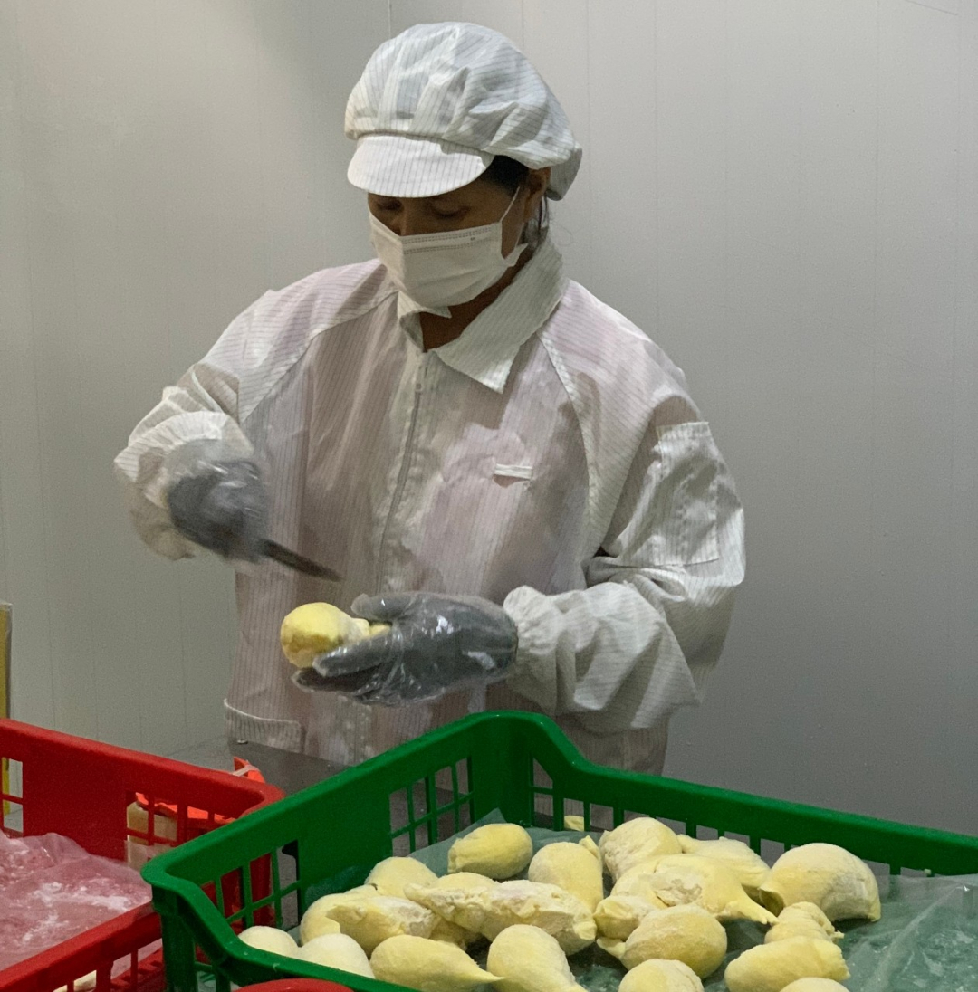 Đắk Lắk: Thúc đẩy phong trào khởi nghiệp ở Krông Pắc Đắk Lắk: Thúc đẩy phong trào khởi nghiệp ở Krông Pắc