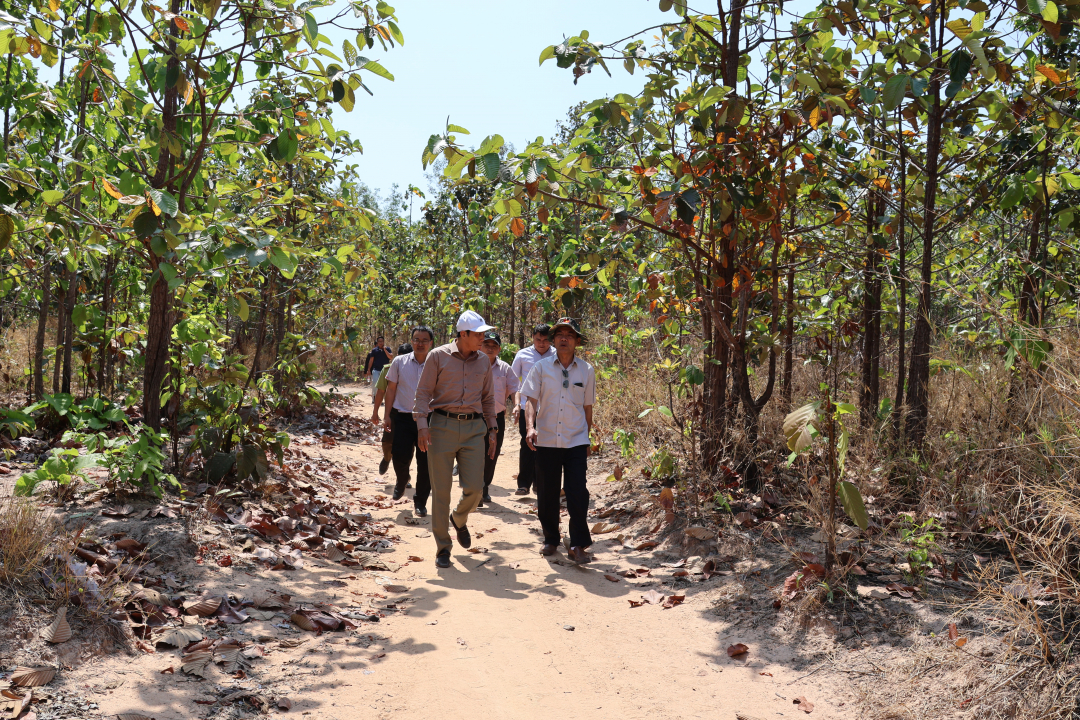 Đắk Lắk: Chủ động phòng, chống cháy rừng trong mùa khô Đắk Lắk: Chủ động phòng, chống cháy rừng trong mùa khô