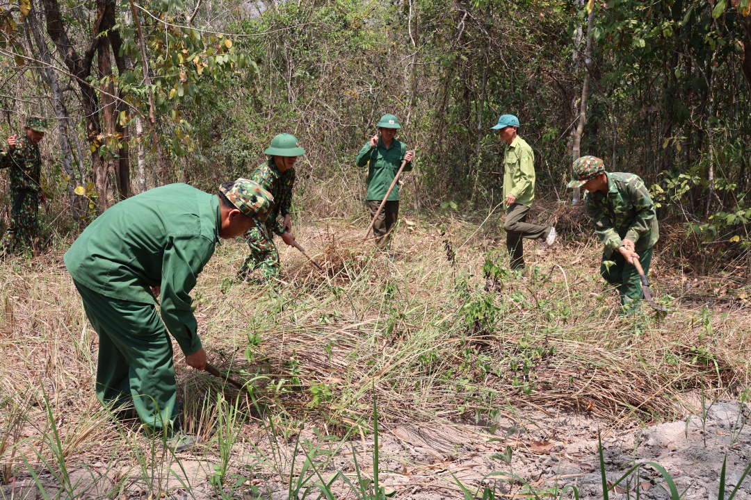 Đắk Lắk: Chủ động phòng, chống cháy rừng trong mùa khô Đắk Lắk: Chủ động phòng, chống cháy rừng trong mùa khô