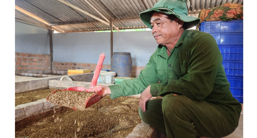 Nuôi sâu canxi đã giúp gia đình ông Lê Hùng Anh (xã Nghĩa Hưng, huyện Chư Păh) vươn lên làm giàu. Ảnh: P.N Nuôi sâu canxi đã giúp gia đình ông Lê Hùng Anh (xã Nghĩa Hưng, huyện Chư Păh) vươn lên làm giàu. Ảnh: P.N
