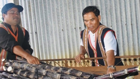 Gia Lai: Ông Kơ Pă Jiâu tiên phong đưa cây mía tím về Ia Kênh