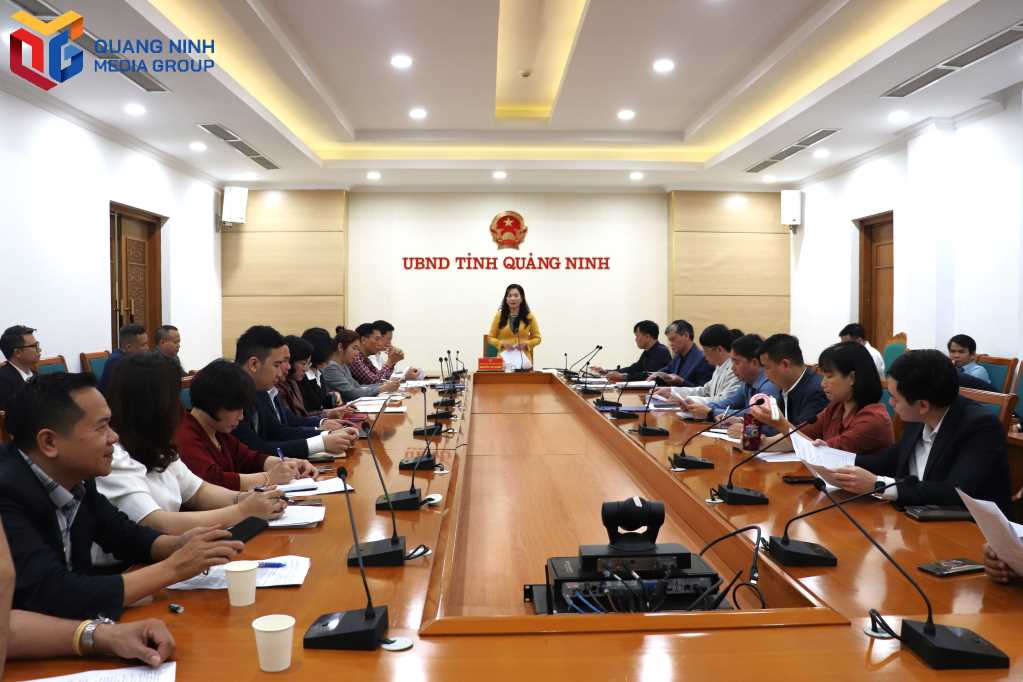 Quảng Ninh: Trung tuần tháng 3/2025 sẽ chính thức khai trương du lịch tham quan Vịnh Bái Tử Long Quảng Ninh: Trung tuần tháng 3/2025 sẽ chính thức khai trương du lịch tham quan Vịnh Bái Tử Long