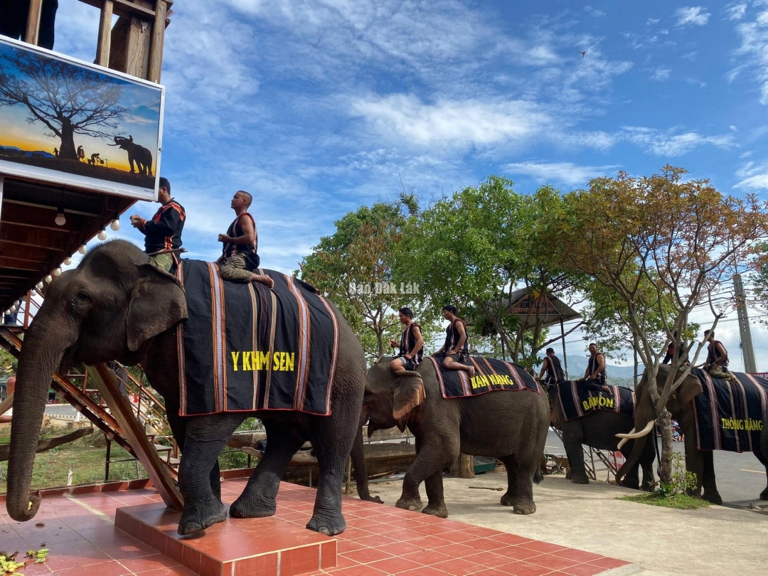 Đắk Lắk: Độc đáo Lễ cúng sức khỏe cho voi tại huyện Lắk