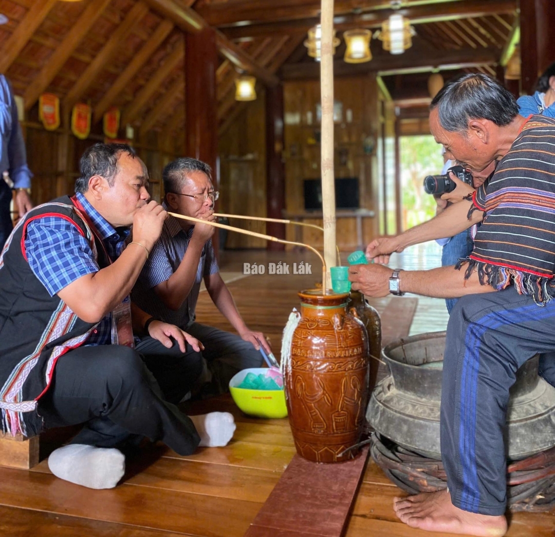 Đắk Lắk: Độc đáo Lễ cúng sức khỏe cho voi tại huyện Lắk