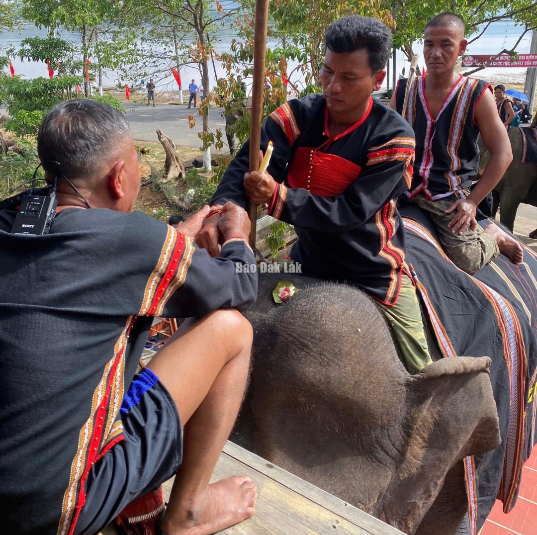 Đắk Lắk: Độc đáo Lễ cúng sức khỏe cho voi tại huyện Lắk
