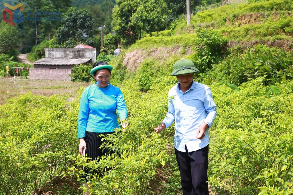 Bức tranh mới ở các xã vùng cao Bức tranh mới ở các xã vùng cao