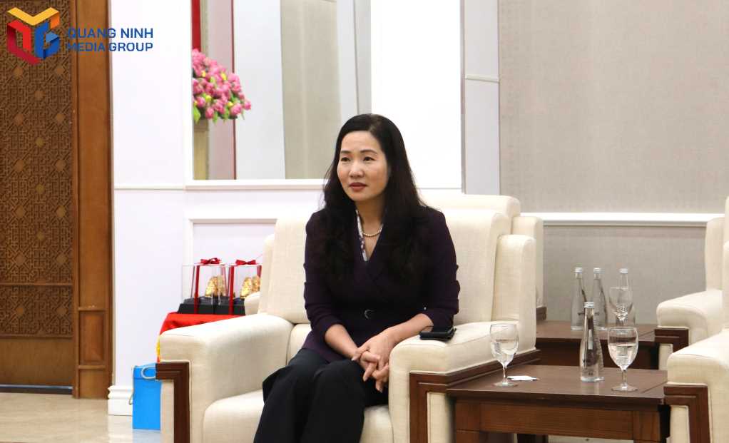 Quảng Ninh làm việc với đoàn khảo sát đón khách tàu biển Nhật Bản. Quảng Ninh làm việc với đoàn khảo sát đón khách tàu biển Nhật Bản.