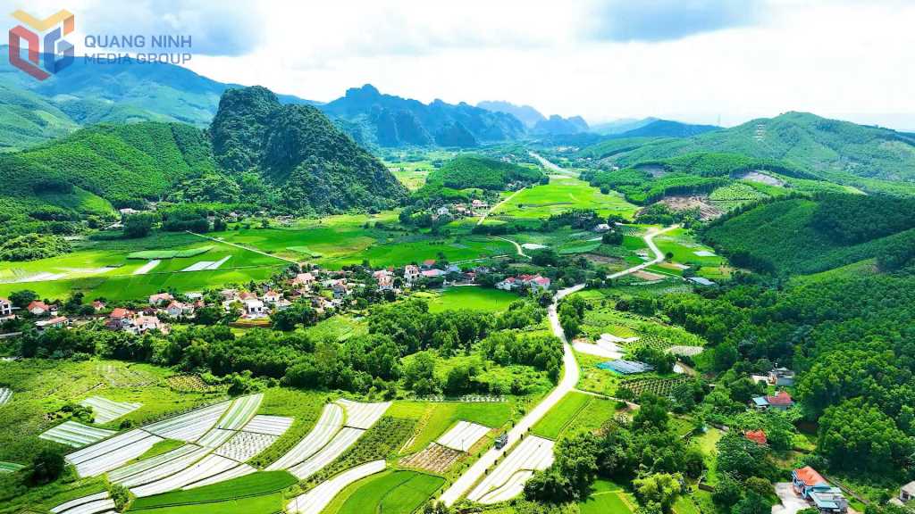 Quảng Ninh: "Đòn bẩy" thúc đẩy vùng cao Hạ Long phát triển Quảng Ninh: "Đòn bẩy" thúc đẩy vùng cao Hạ Long phát triển