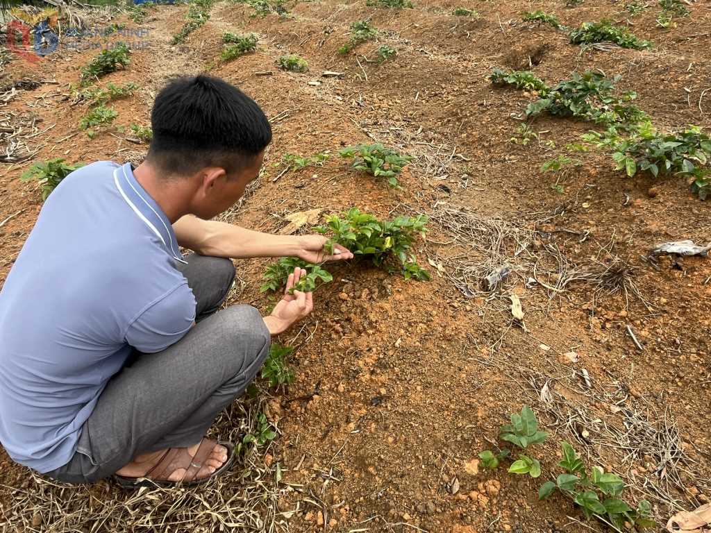 Quảng Ninh: "Đòn bẩy" thúc đẩy vùng cao Hạ Long phát triển Quảng Ninh: "Đòn bẩy" thúc đẩy vùng cao Hạ Long phát triển