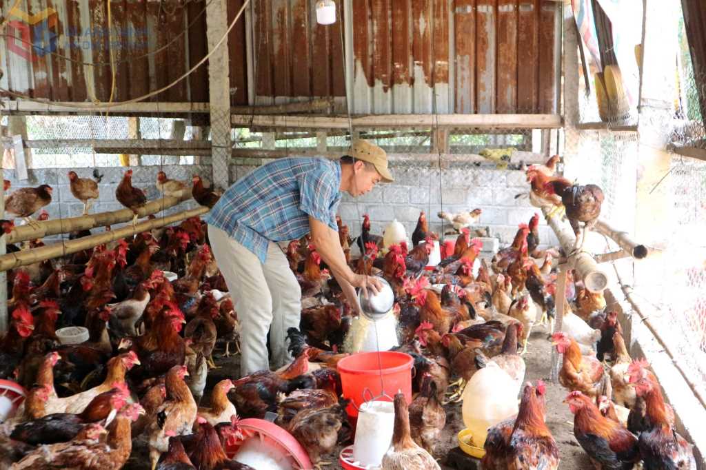 Quảng Ninh: "Đòn bẩy" thúc đẩy vùng cao Hạ Long phát triển Quảng Ninh: "Đòn bẩy" thúc đẩy vùng cao Hạ Long phát triển