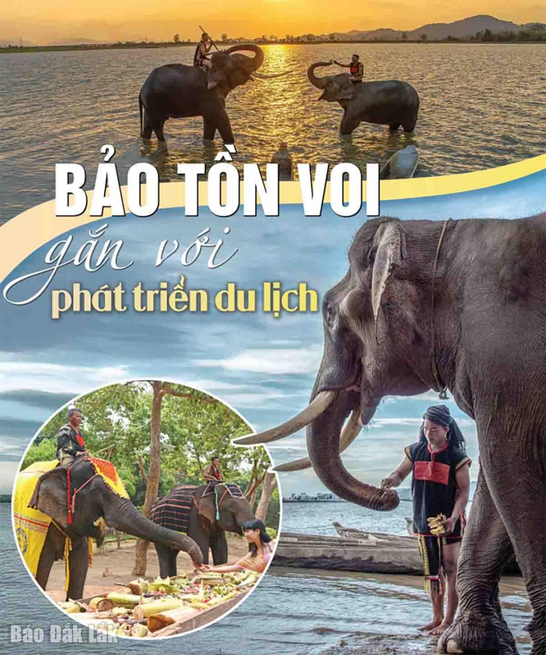 Đắk Lắk: Bảo tồn voi gắn với phát triển du lịch Đắk Lắk: Bảo tồn voi gắn với phát triển du lịch