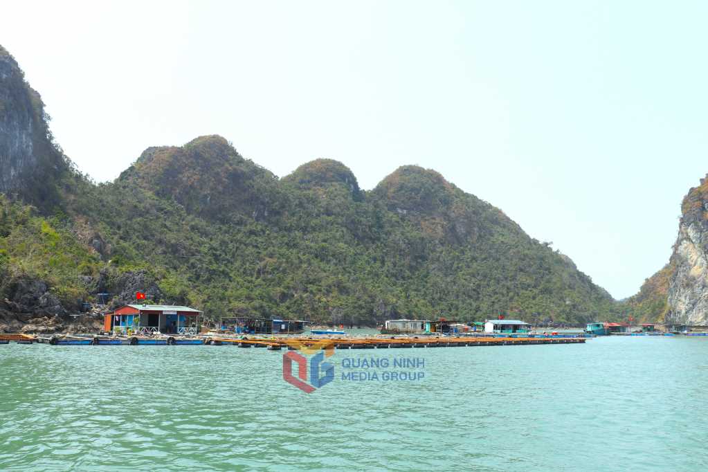Quảng Ninh: Định vị thương hiệu du lịch Bái Tử Long Quảng Ninh: Định vị thương hiệu du lịch Bái Tử Long