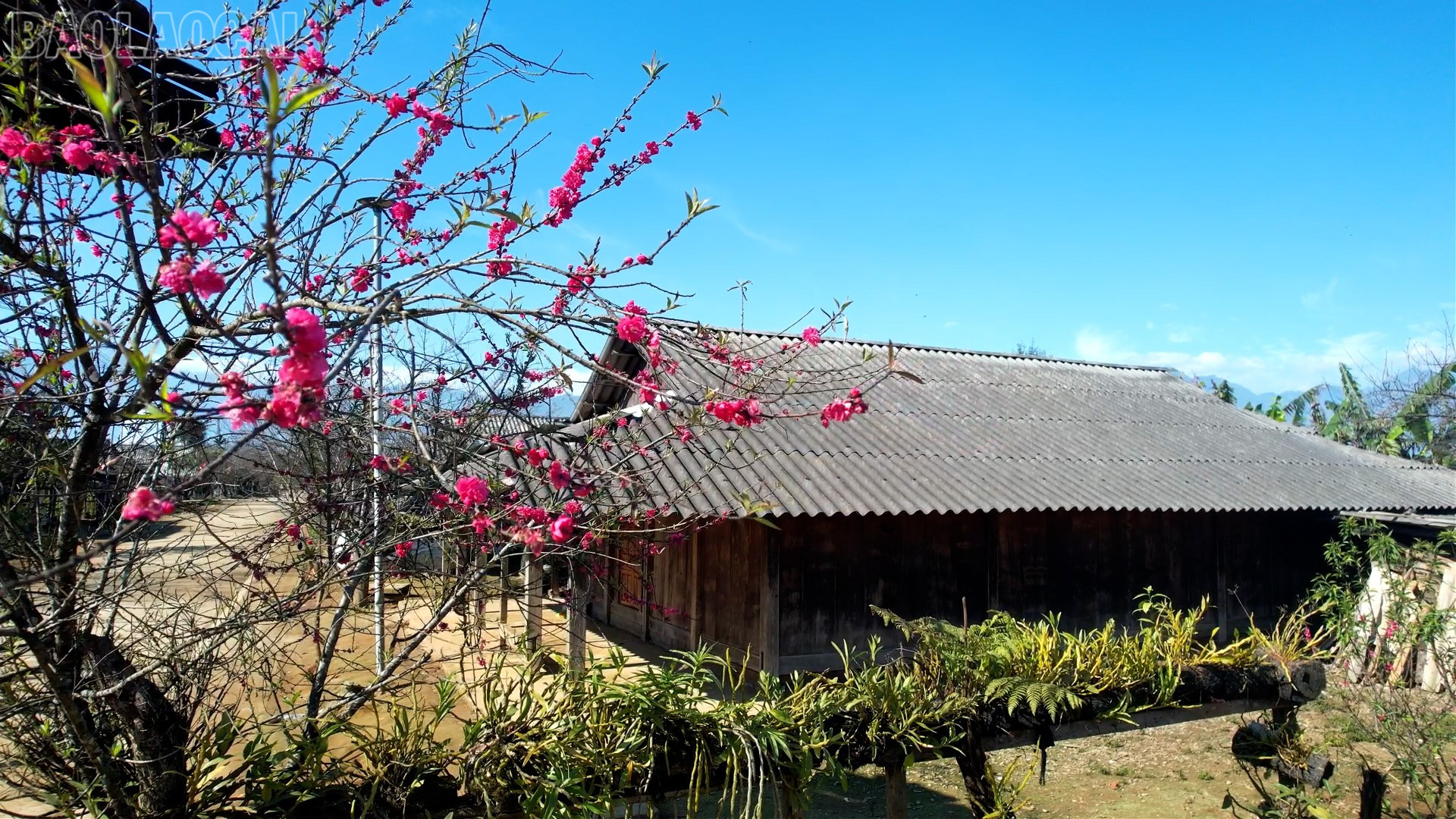 Lào Cai: Ánh sáng ở bản mây