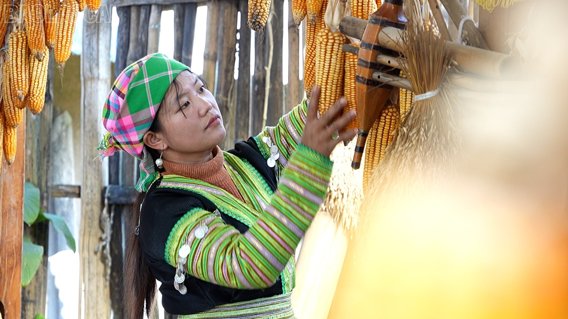 Lào Cai: Ánh sáng ở bản mây