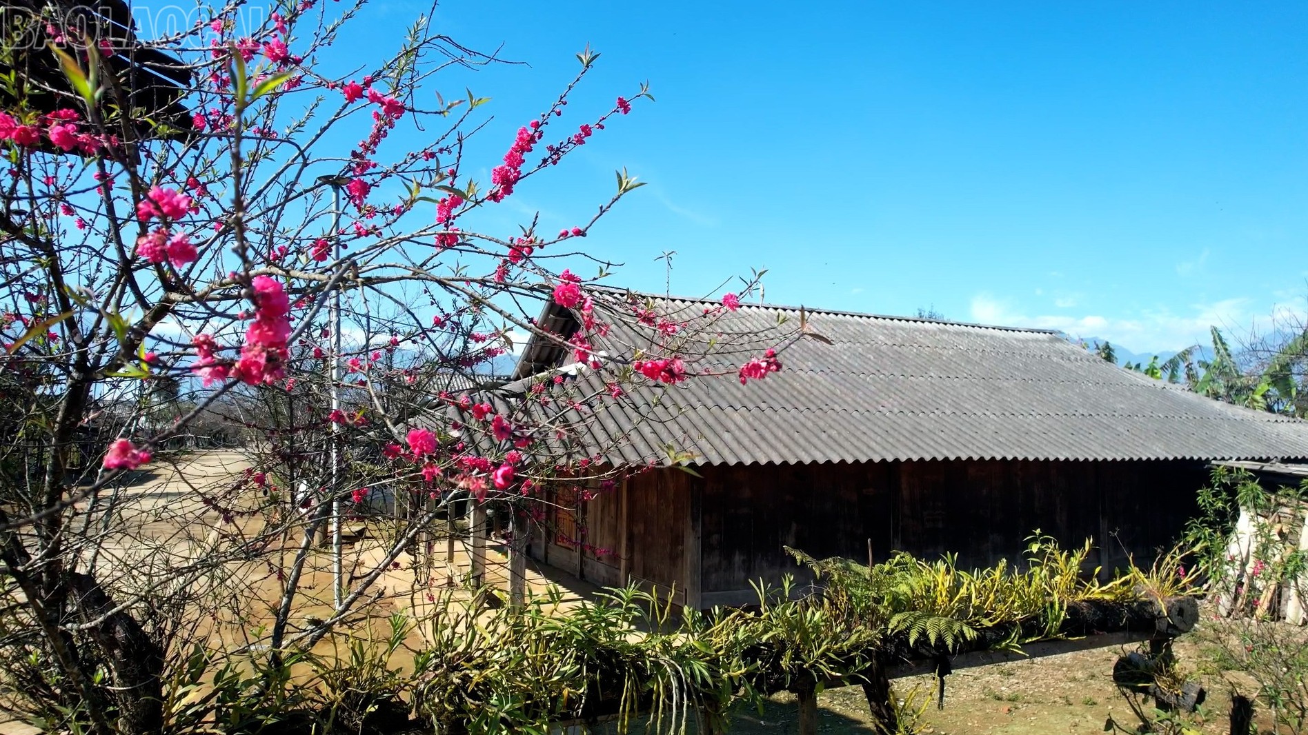 Lào Cai: Ánh sáng ở bản mây