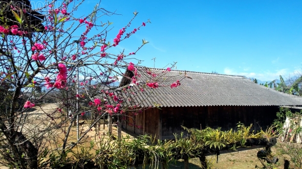 Lào Cai: Ánh sáng ở bản mây