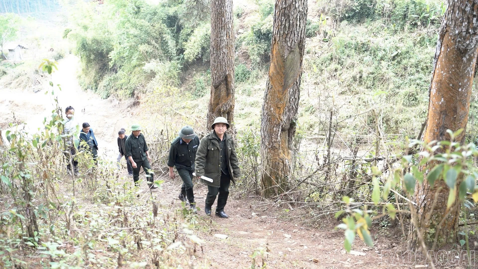 Lai Châu: Người Mông giữ rừng Lai Châu: Người Mông giữ rừng