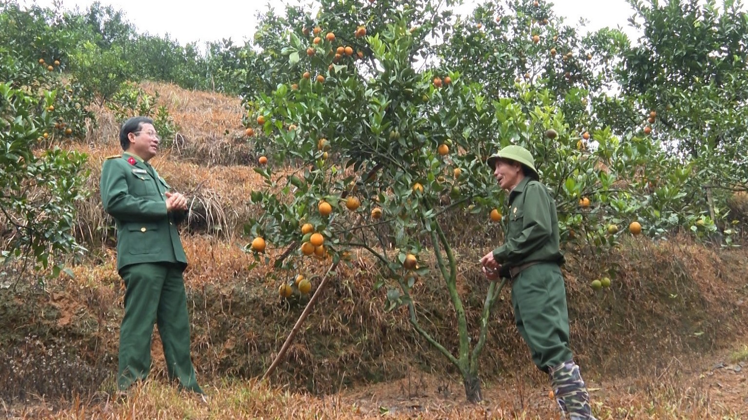 Lào Cai: Cựu chiến binh Lào Cai nỗ lực phát triển kinh tế