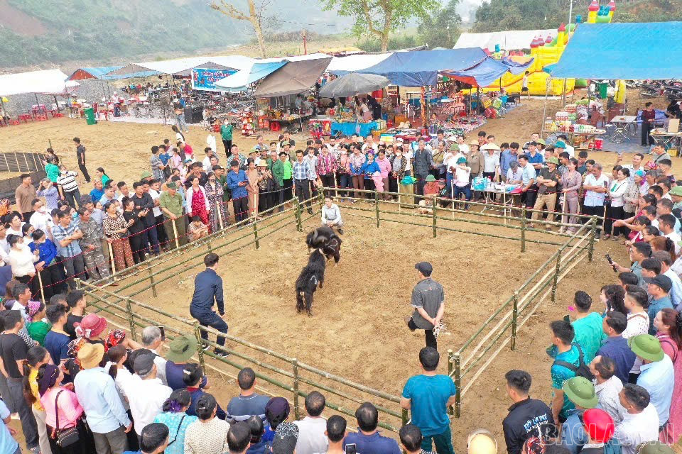 Lào Cai: Nhiều hoạt động ấn tượng và ý nghĩa tại Lễ hội đền Đại Cại Lào Cai: Nhiều hoạt động ấn tượng và ý nghĩa tại Lễ hội đền Đại Cại