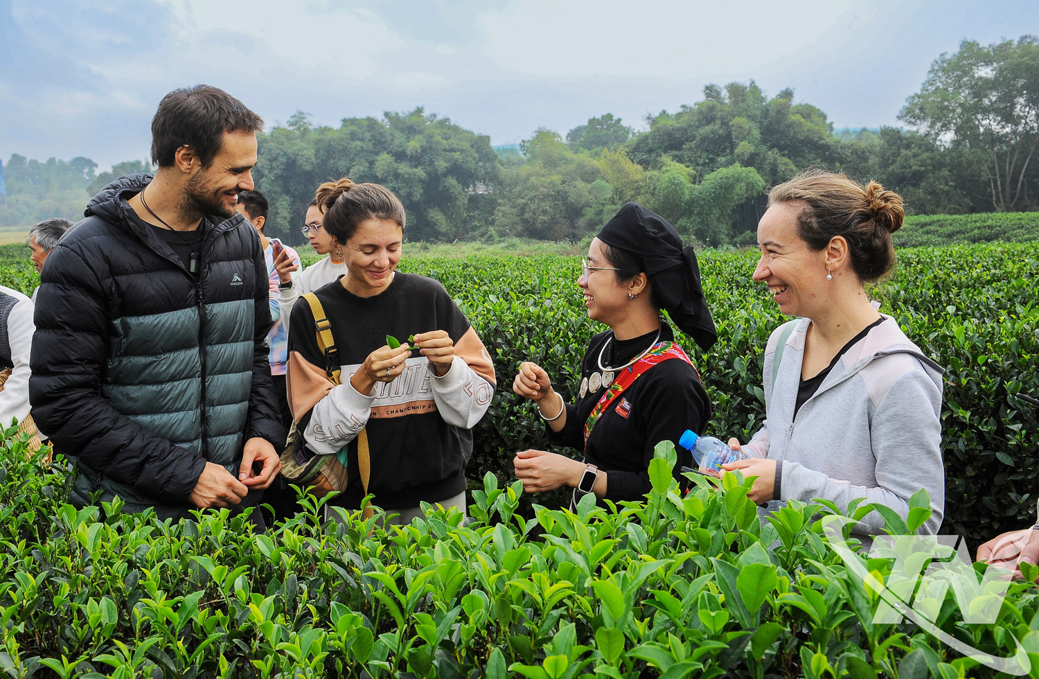 Thái Nguyên "đánh thức" tiềm năng du lịch xanh