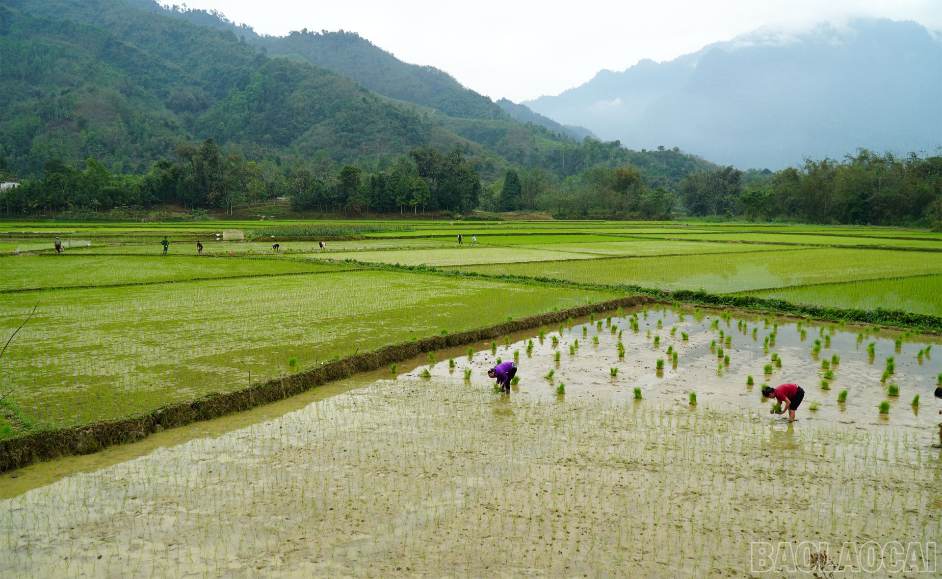 Lào Cai: Bên dòng suối Hán