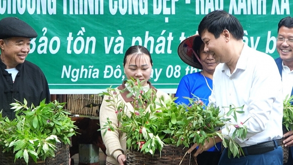 Lào Cai: Nghĩa Đô phát động chương trình "Cổng đẹp - Rào xanh"