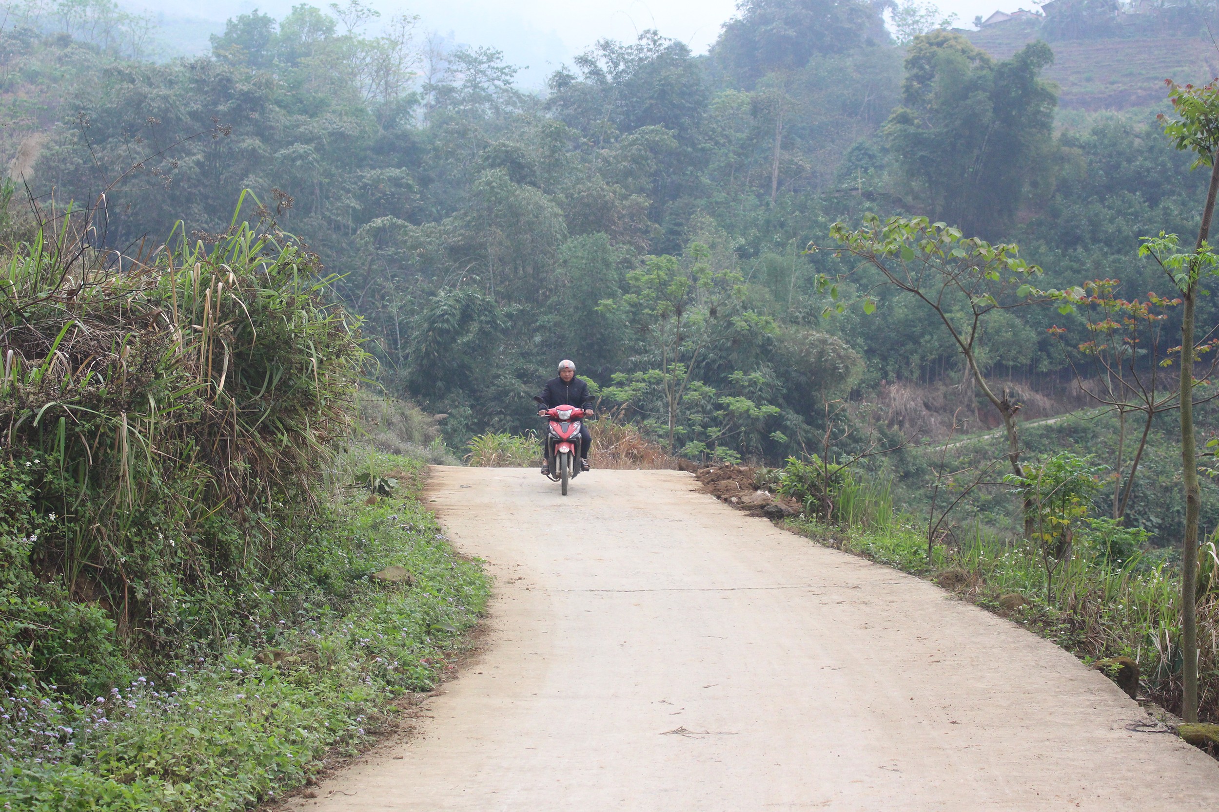 Lào Cai: Đảng viên đi trước trong xây dựng nông thôn mới ở Bản Xèo