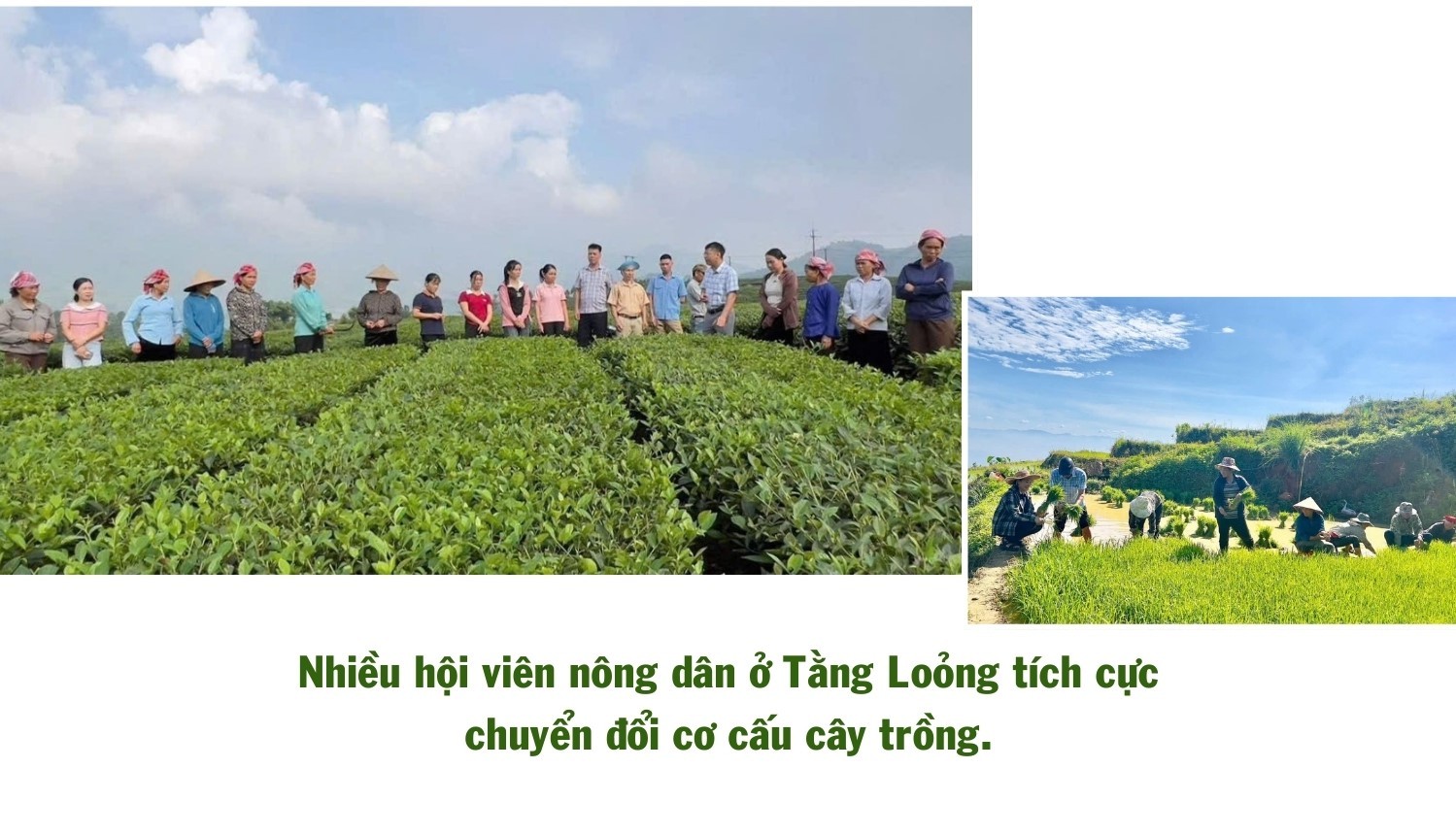 Lào Cai: Điểm tựa giúp nông dân phát triển kinh tế