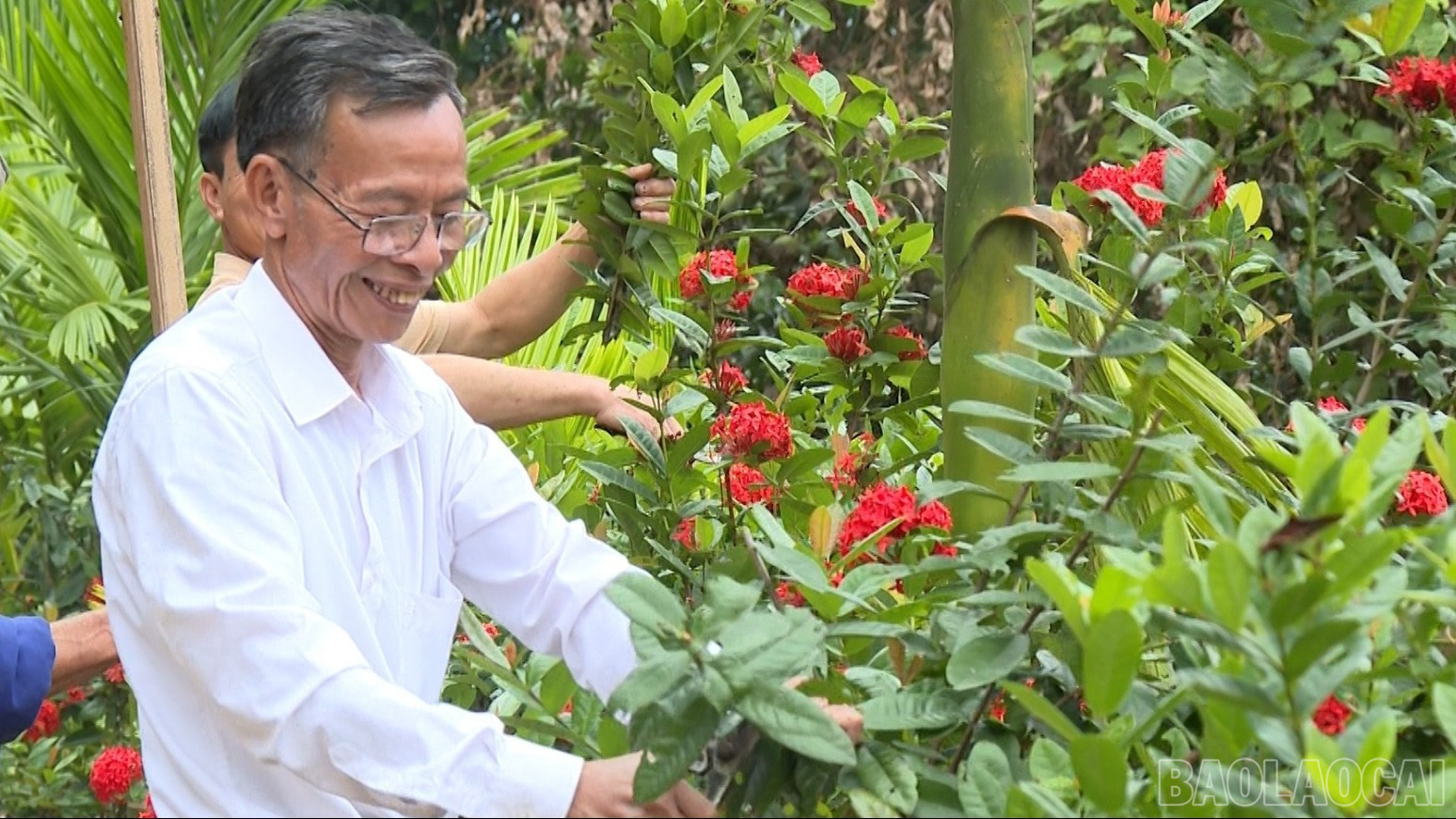 Lào Cai: Tiên Phong - điểm sáng thực hiện tiêu chí môi trường